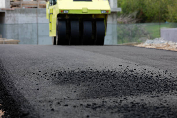 Best Concrete Paver Driveway  in Fernley, NV