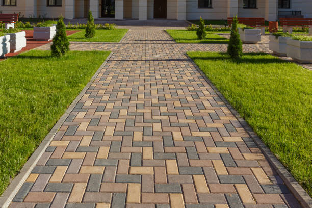 Best Local Driveway Pavers  in Fernley, NV